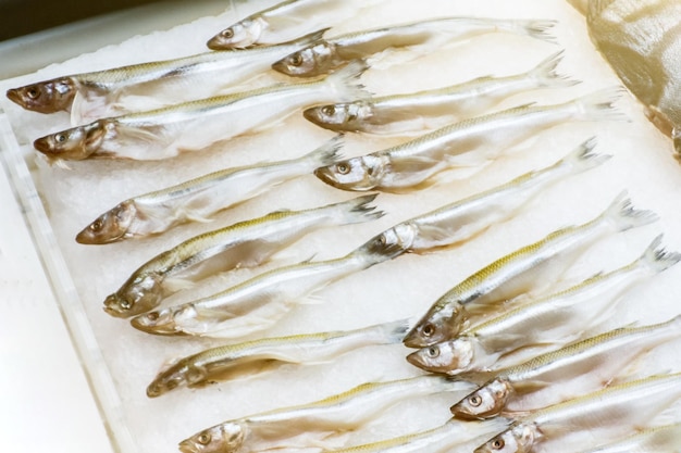 Small sea fish on ice slices on a counter in a grocery store