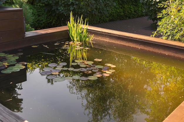 Small secluded pond in the park Landscape architecture