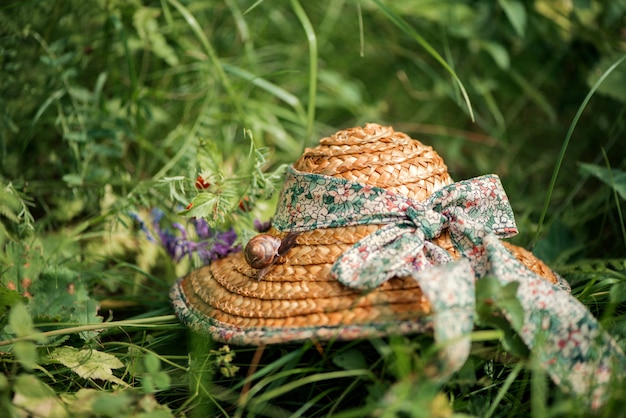 Small snail sits on a straw hat left among the green grass