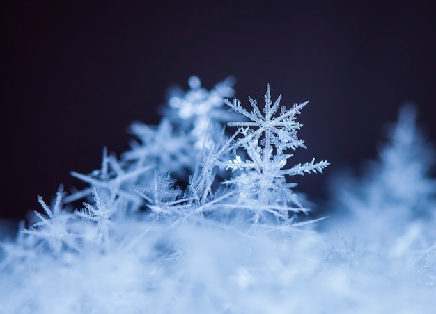 Small snowflake during a snowfall