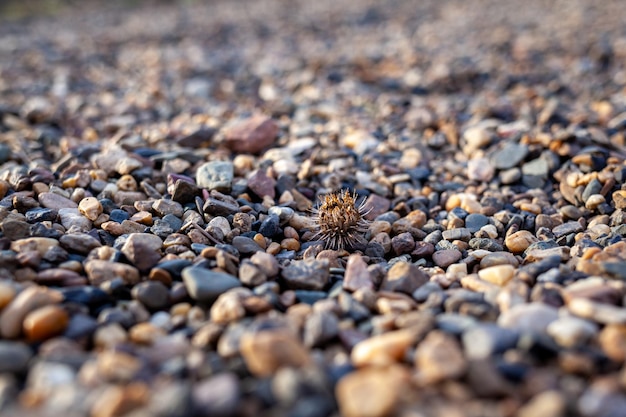 Small stones crushed stone on the run of the sea as a background