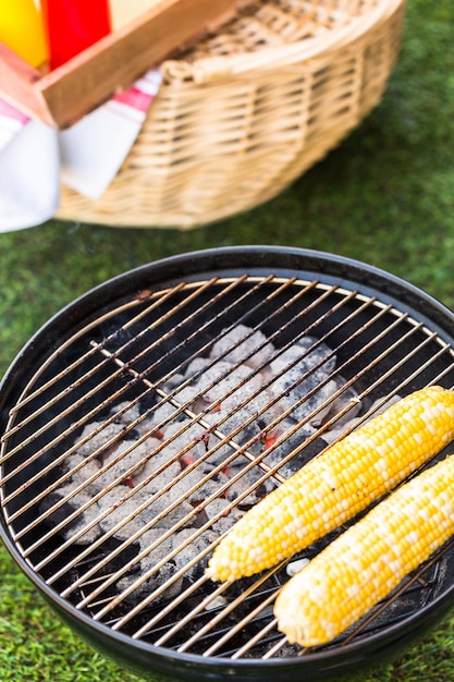 Small summer picnic with lemonade and hamburgers in the park.