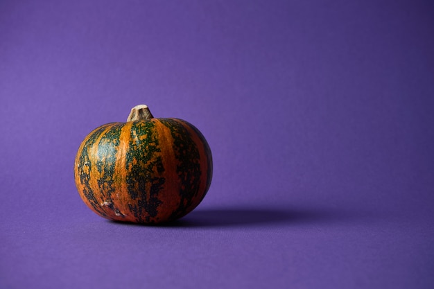 Photo small textured pumpkin on a purple wall. halloween decoration.