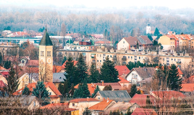 Small town cityscape view of the downtownHungary panorama