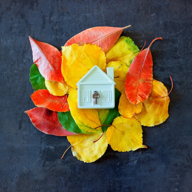  Small toy house among colorful autumn leaves. 