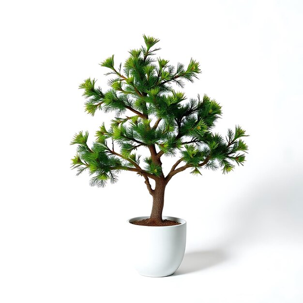 Photo a small tree is in a white pot with a green plant in it