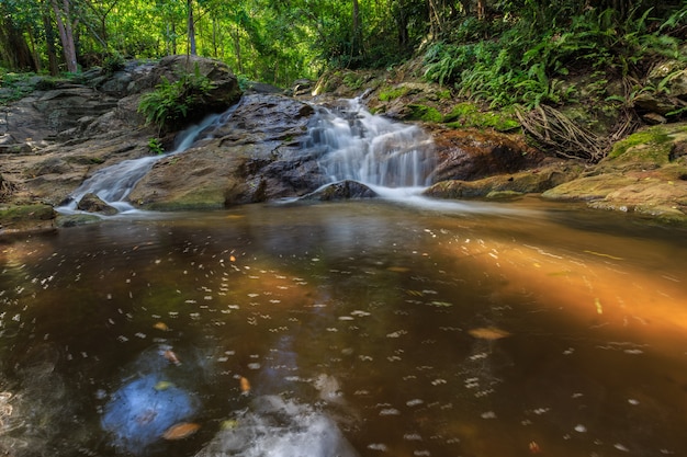 Small waterfall in the forest 