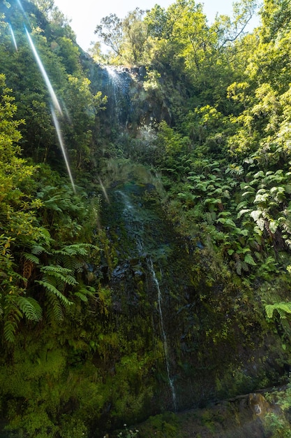 A small waterfall in summer at the Levada do Caldeirao Verde Queimadas Madeira