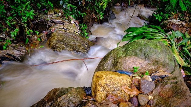 Small waterfall, water flow in a mountainous area, Bogor, Indonesia