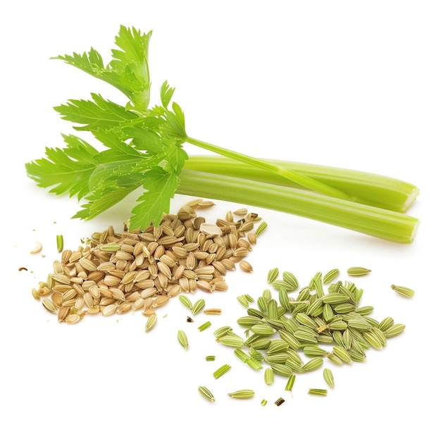 Photo a small white bowl with seeds in it and a small white bowl on the table