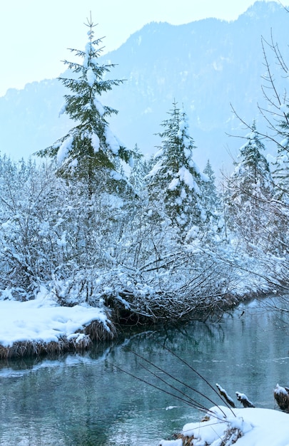 Small winter stream with snowy trees on bank.