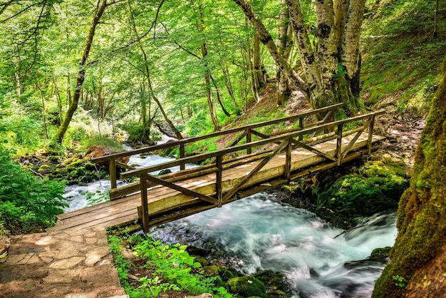 Small wooden bridge over river cascade in the forest of Montenegro