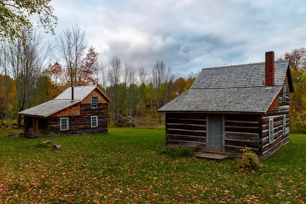 Small wooden cabins in a forest in autumn under a cloudy sky in Michigan the US