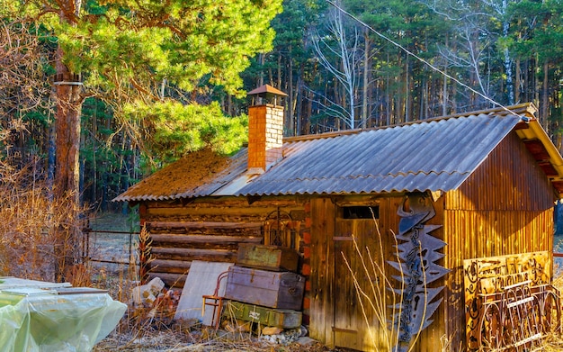 A small wooden house in the forest on a summer day