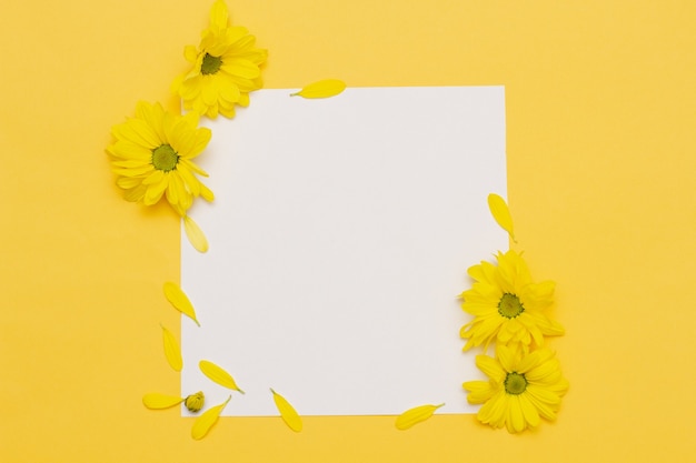 Small yellow flowers with scattered petals lie on a pastel yellow background with an empty square in the center