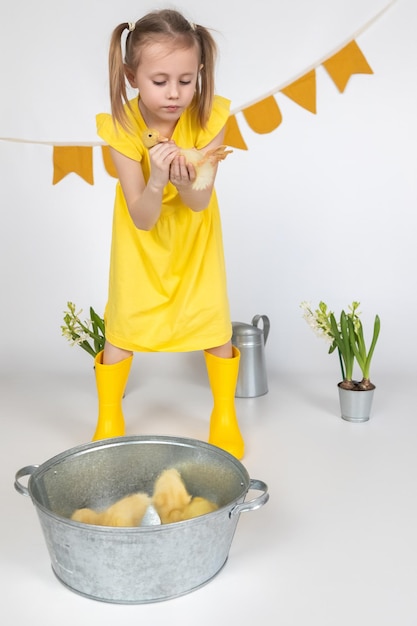 Small yellow fluffy ducklings in child hands on a white background the concept of Easter