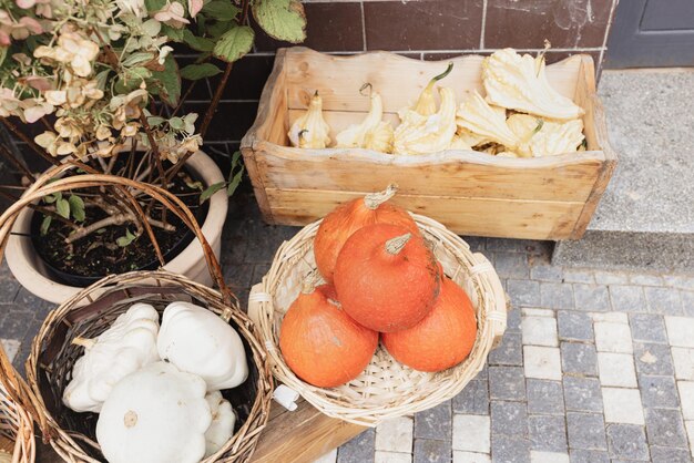 Small yellow Halloween pumpkins and pattypan squash in decor baskets