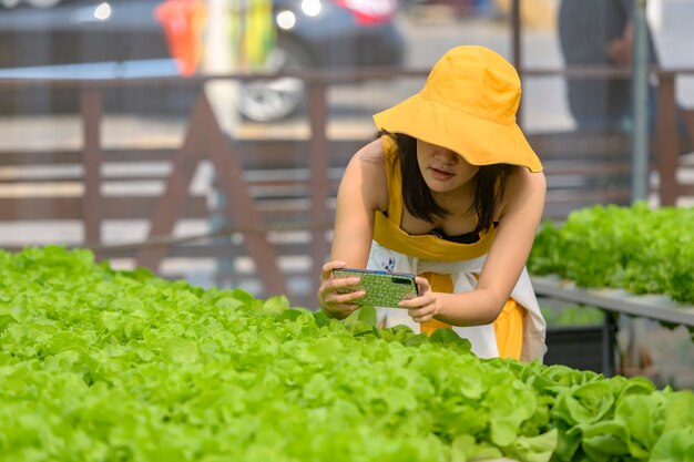 Smart agriculture, farm , sensor technology concept. Farmer hand using smart phone for monitoring temperature , humidity , pressure , light of soil in strawberry farm.