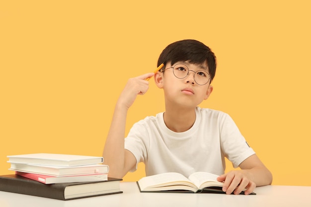 Smart and cute student who thinks carefully, concentrates and studies hard is learning at his desk.