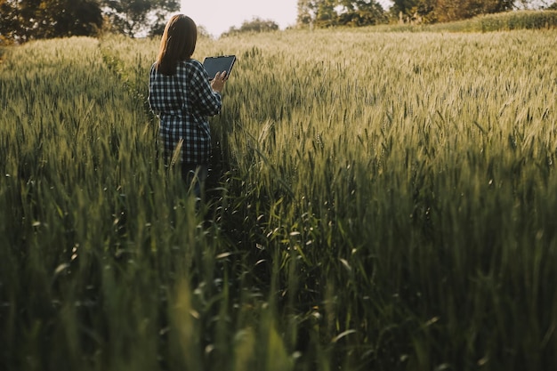 Smart farm Farmer with tablet in the field Agriculture gardening or ecology concept Harvesting Agro business