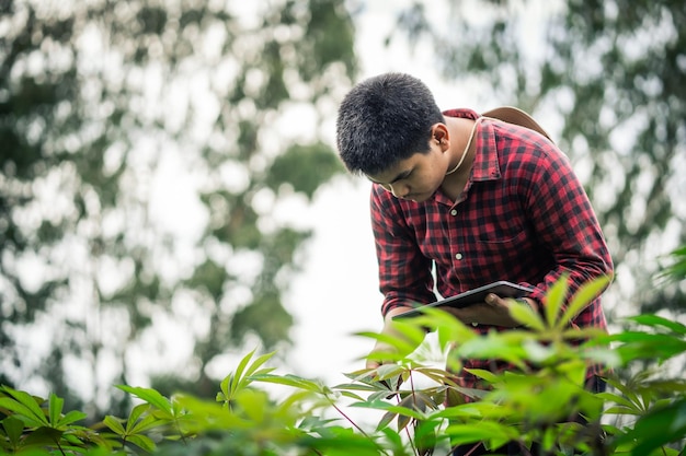 A smart farmer checking crop integrity and maintenance planning for good yields