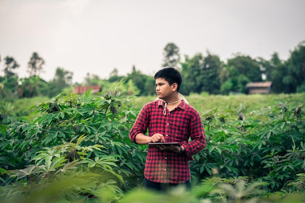 A smart farmer checking crop integrity and maintenance planning for good yields