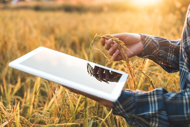 Smart farming Agricultural technology and organic agriculture Woman using the research 