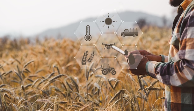 Smart farming concept Farmer with technology digital tablet on background of wheat field Professional farmers use internet of things IOT computers system to manage farms agriculture modern idea