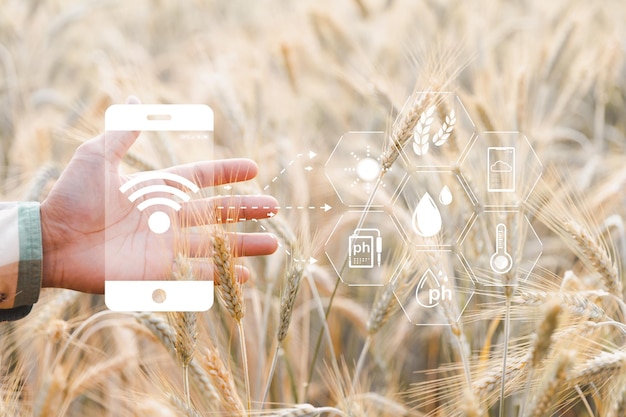 Smart farming concept Farmer with technology digital tablet on background of wheat field Professional farmers use internet of things IOT computers system to manage farms agriculture modern idea