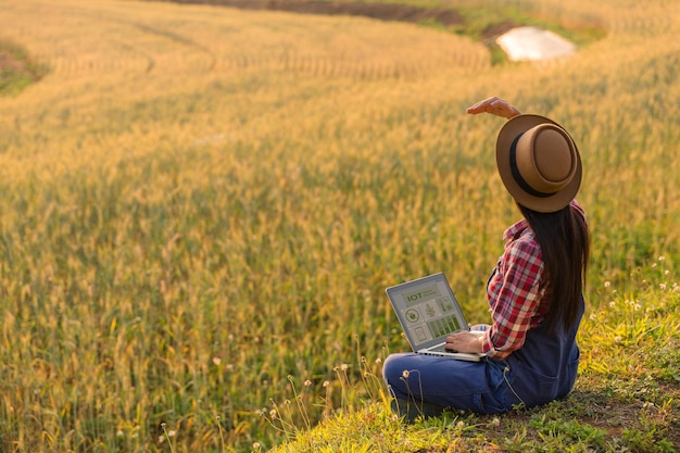 Smart farming concept Farmer with technology digital tablet on background of wheat field Professional farmers use internet of things IOT computers system to manage farms agriculture modern idea