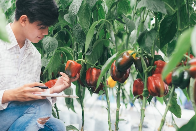 Smart farming using modern technologies in agriculture.