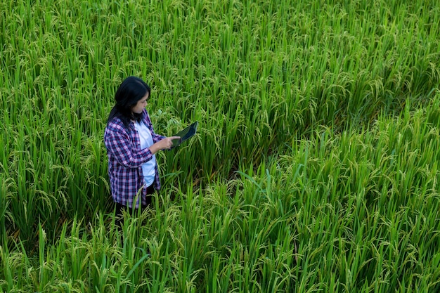 Smart Farming with Internet of Things IoT concept Agriculture and modern technology