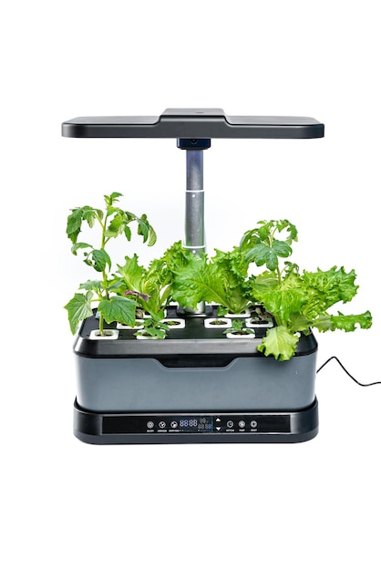 Smart indoor garden with uv lamp on a white isolated background