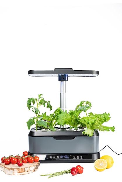 Smart indoor garden with uv lamp on a white isolated background