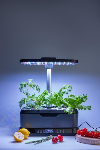 Smart indoor garden with uv lamp