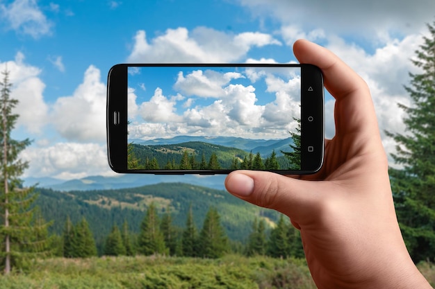 Smartphone in hand photographs nature on the screen