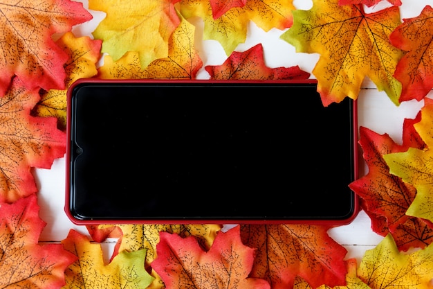 Smartphone for text on screen and maple leaf background.