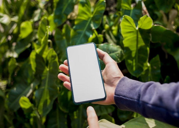 A smartphone with a creative white screen and a field of electric wind turbines in the background