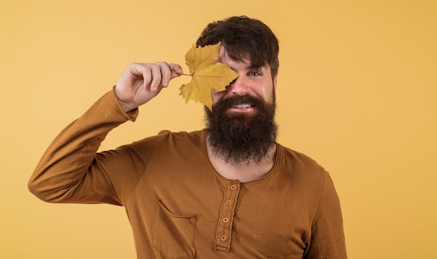 Smiling bearded man covered eye with yellow maple leaf seasonal fashion autumn clothing