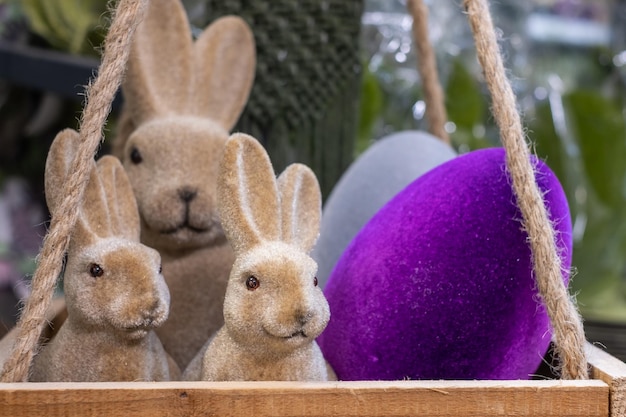 The smiling cheerful light brown Easter bunnies and large purple and light blue Easter eggs in box