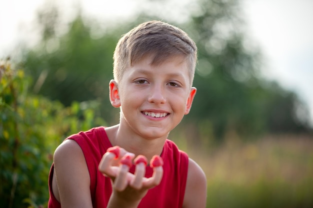 Smiling child picking and eating fresh ripe raspberries in the summer garden or backyard. Summertime harvest.