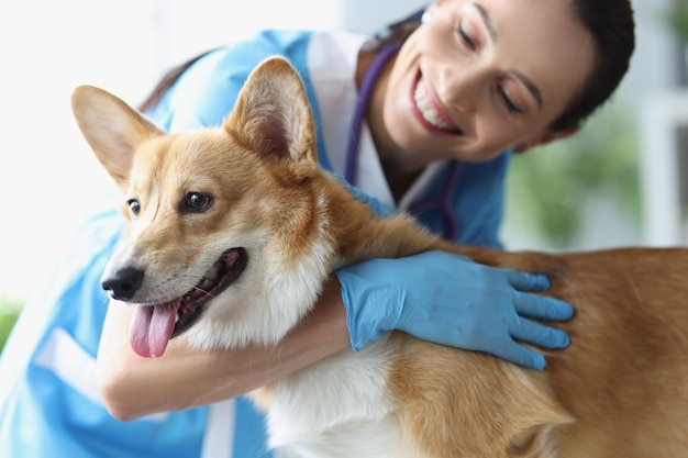 Smiling female veterinarian stroking dog at medical appointment veterinarian services