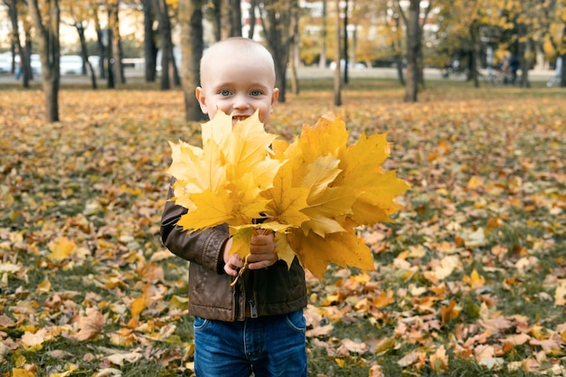 smiling happy little child girl in coat and dress holding autumn leaves, having fun in fall forest