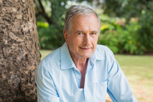 Smiling retired man sitting on tree trunk