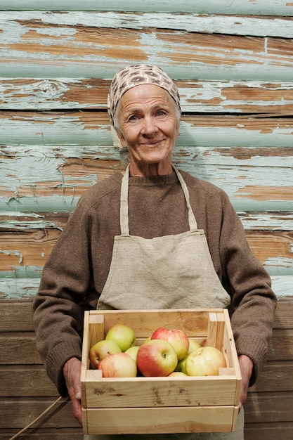 Smiling senior female gardener holding wooden box with picked fresh apples