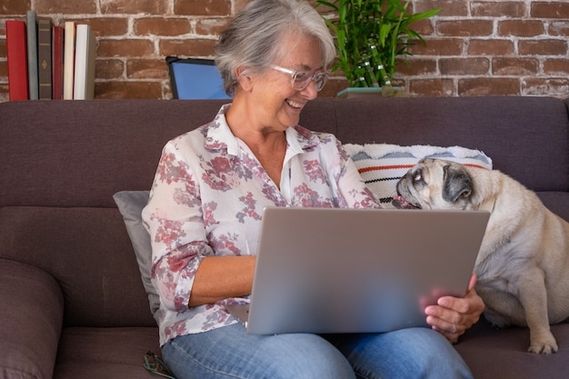 Smiling senior woman sitting on sofa at home using laptop computer looking at her old pug dog