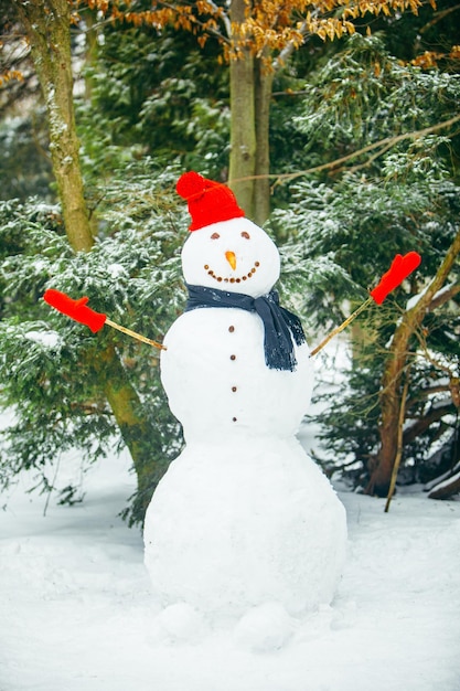 Smiling snowman in red hat with gloves