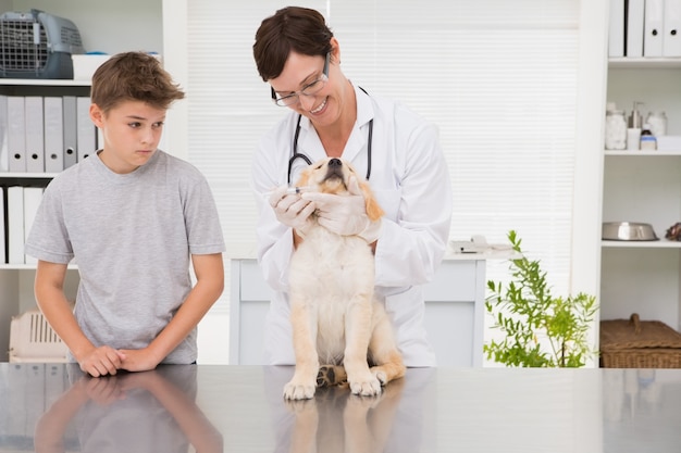 Smiling vet examining a dog with its owner