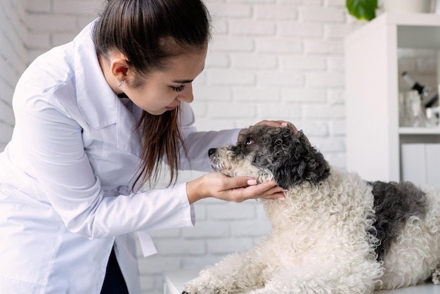 Smiling vet examining mixed breed dog