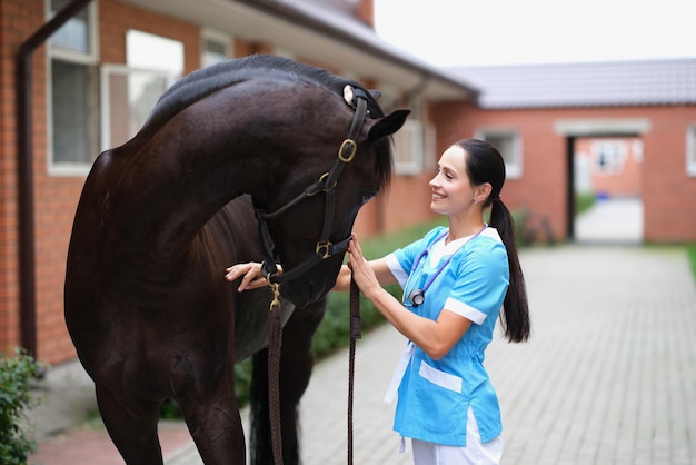 Smiling vet scanned young horse perfectly closeup